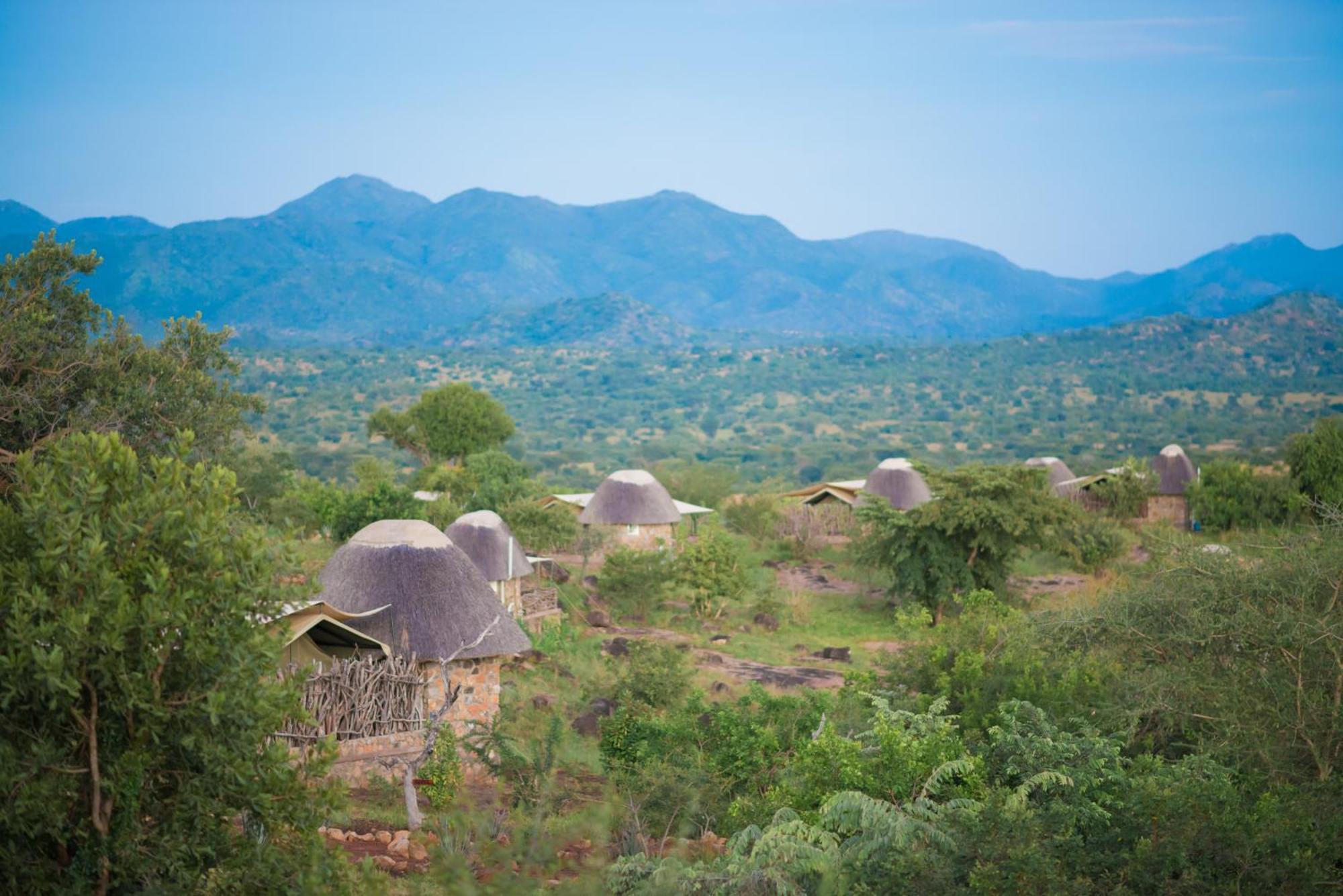 Kidepo Savannah Lodge By Nature Lodges Ltd Loitanit المظهر الخارجي الصورة